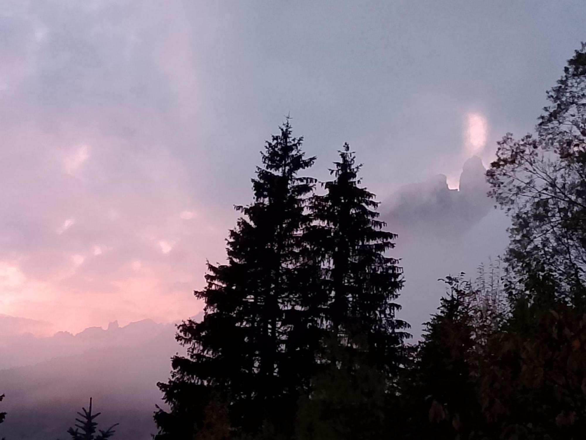 Appartamento Niki Campitello Campitello di Fassa Εξωτερικό φωτογραφία