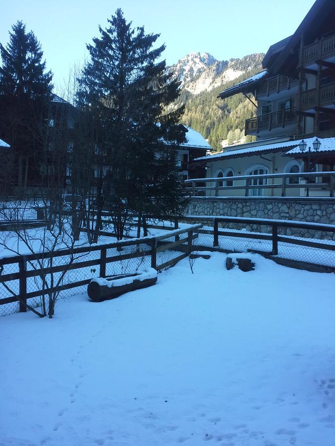 Appartamento Niki Campitello Campitello di Fassa Εξωτερικό φωτογραφία